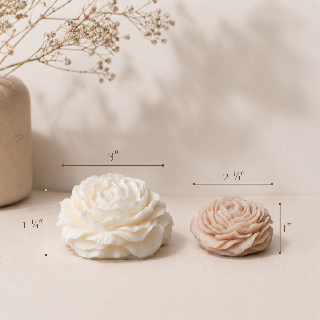 Product image showing Foton Blooms wax flower dimensions: a larger ivory bloom measuring approximately 3" wide by 1¼" tall, and a smaller blush bloom measuring about 2¼" wide by 1" tall.