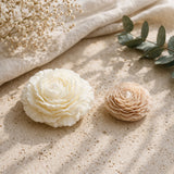 Foton Blooms
