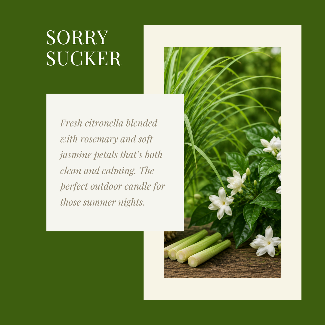 Promotional scent graphic for “Sorry Sucker” featuring citronella, rosemary, jasmine flowers, and lemongrass imagery with text describing the scent as fresh, clean, calming, and ideal for summer outdoor evenings.