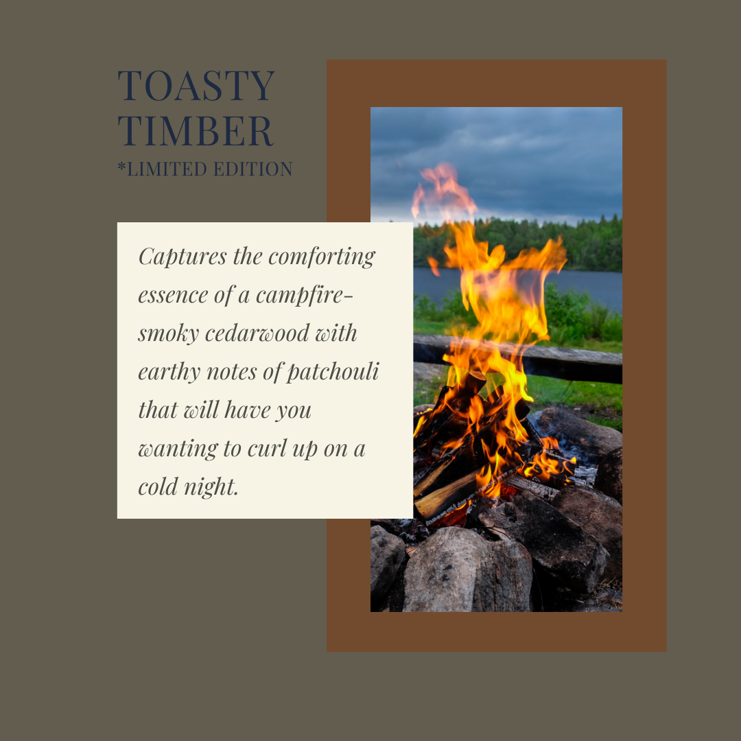 Toasty Timber Concrete Gift Set