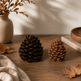 Foton Pinecones