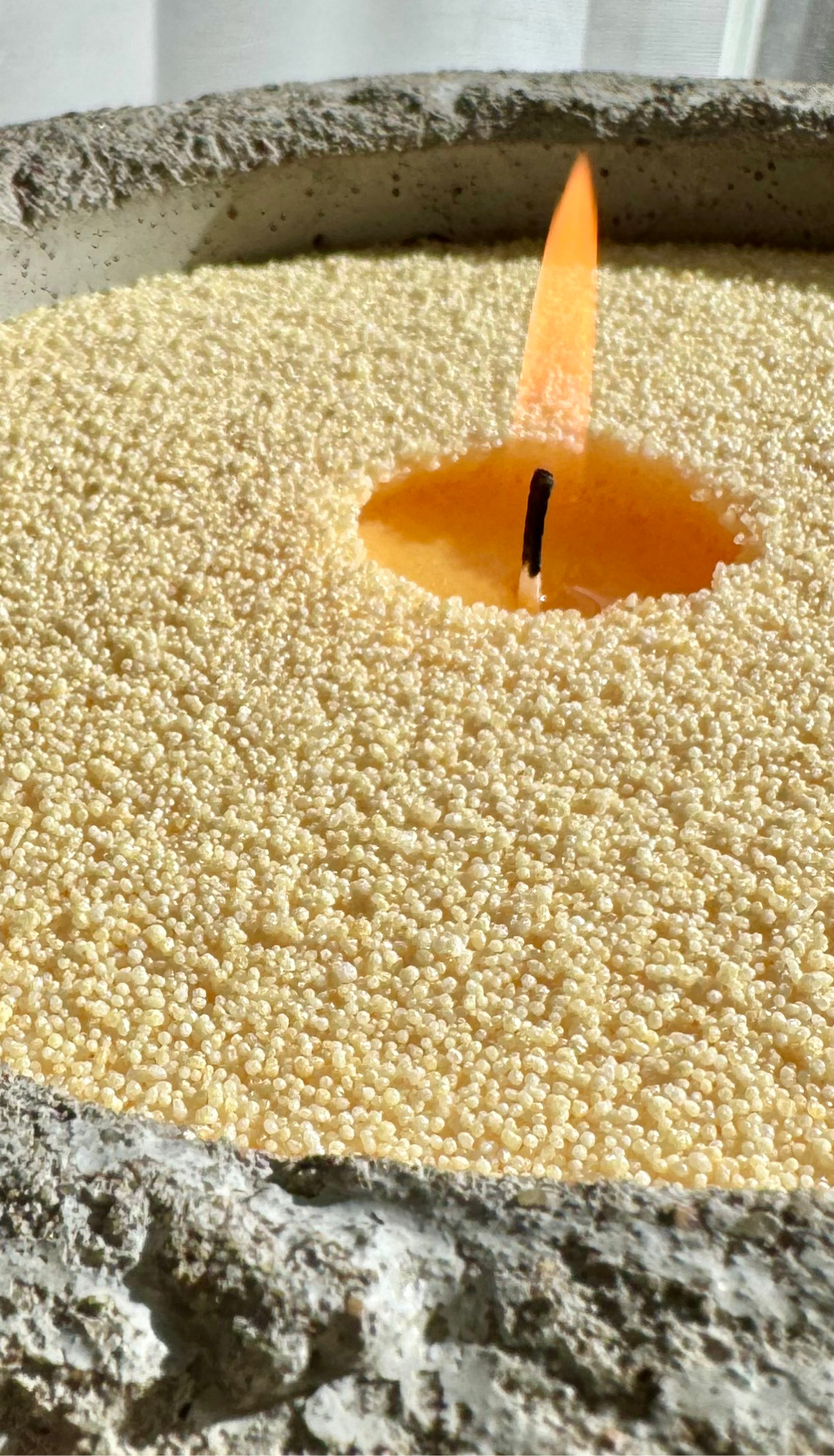 Website_Banner_Mobile_Sunflower.png